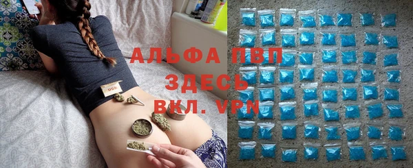 PSILOCYBIN Аркадак