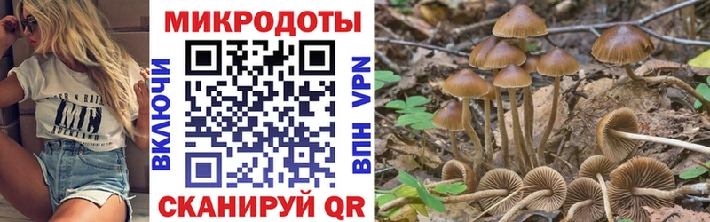 darknet наркотические препараты  где продают   Облучье  Галлюциногенные грибы Cubensis 